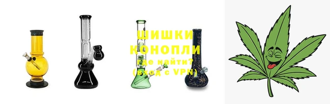 кокс Магас