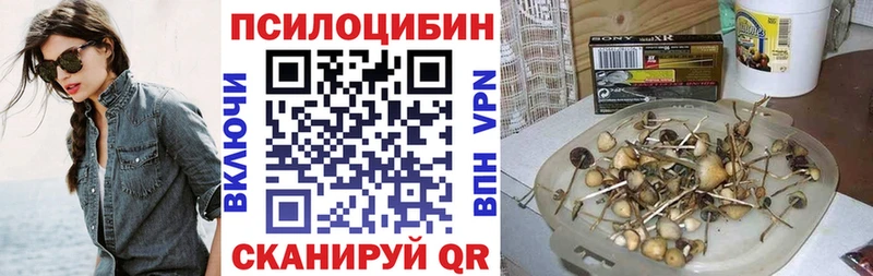 хочу   Волжский  kraken онион  Псилоцибиновые грибы Cubensis 